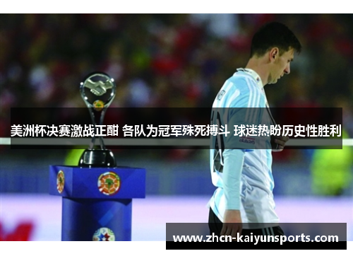 美洲杯决赛激战正酣 各队为冠军殊死搏斗 球迷热盼历史性胜利