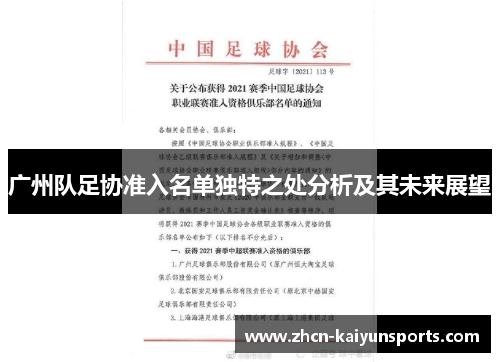 广州队足协准入名单独特之处分析及其未来展望